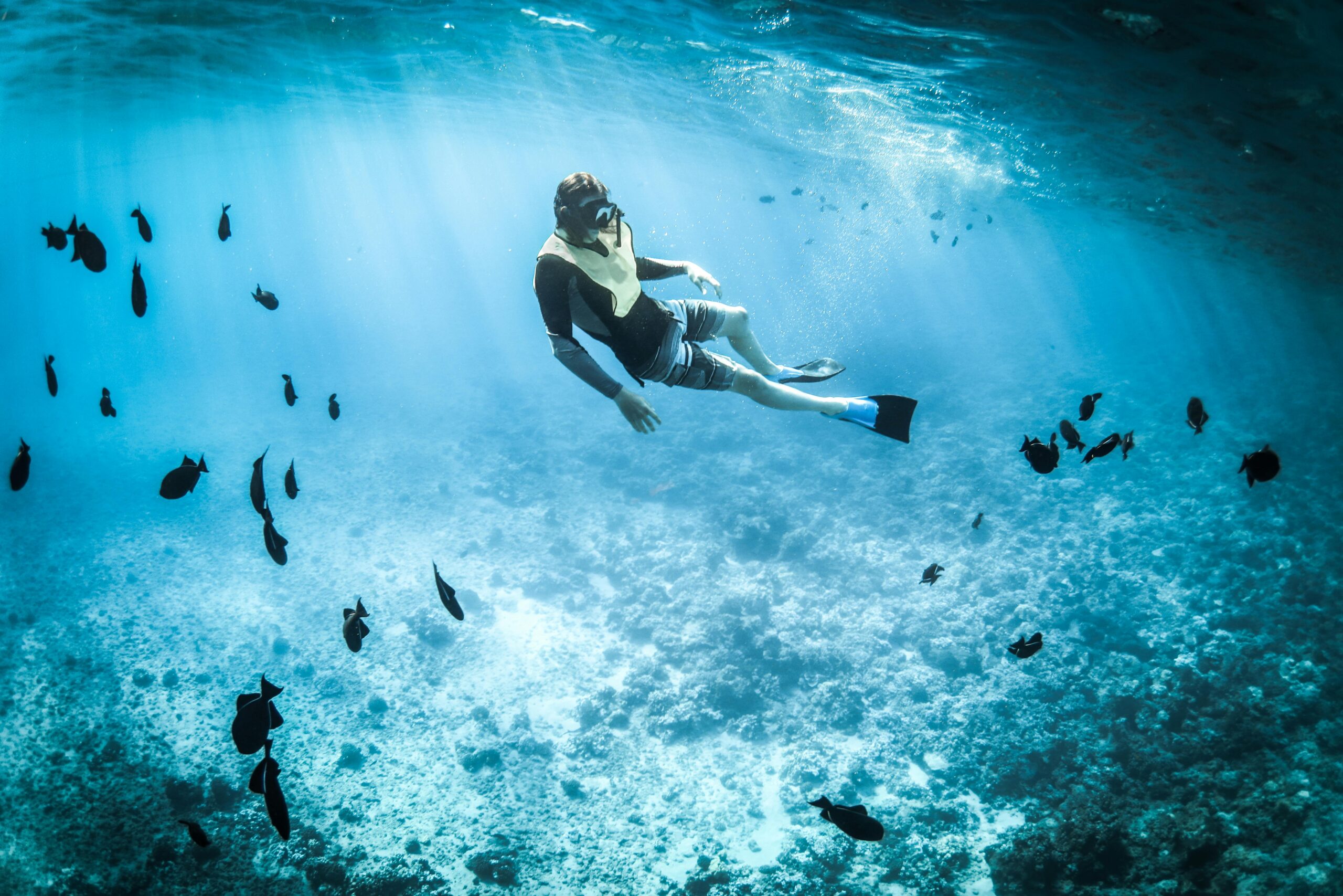 Persona che fa snorkeling tra la vivace vita marina in un mare tropicale turchese.